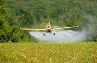 photo of plan crop dusting