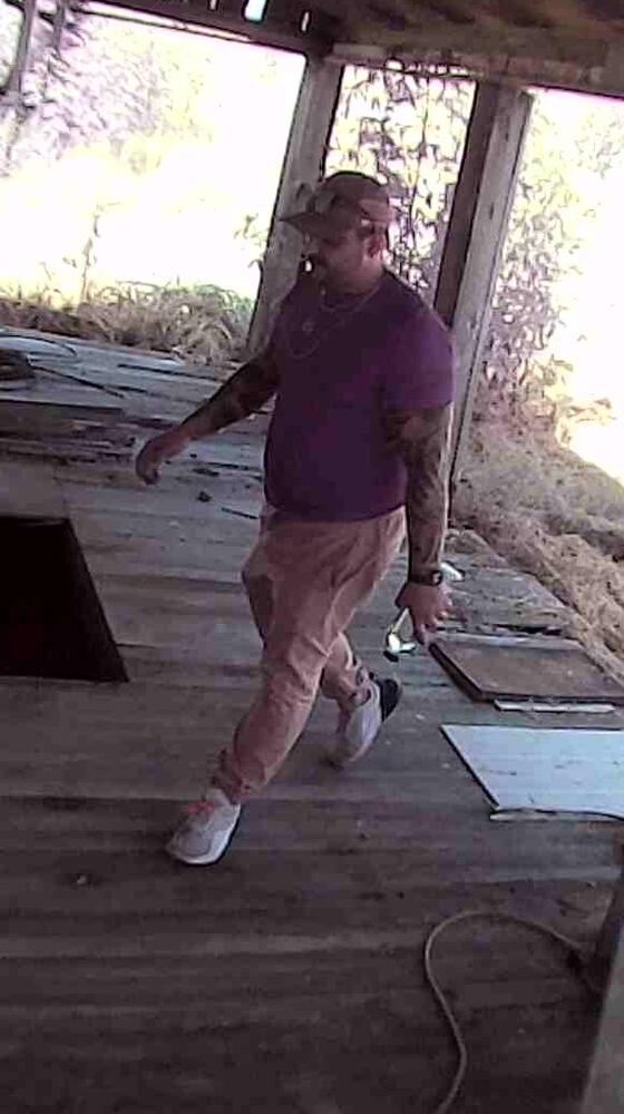 photo of male suspect